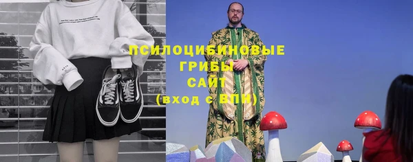 гашик Балабаново