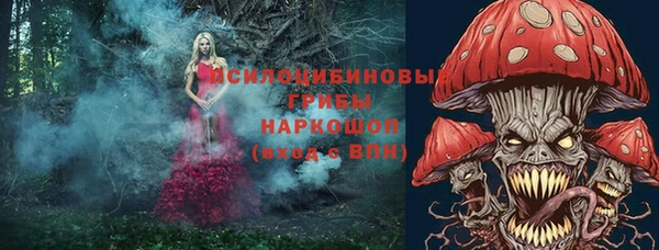 гашик Балабаново