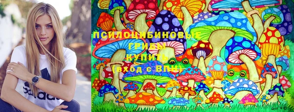 твердый Балахна